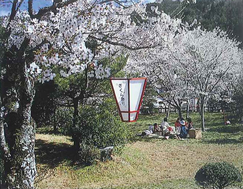 No.95. 高知県本山町　上街公園・若宮公園 (1)